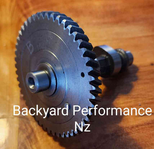 Backyard Performance 264 Cam