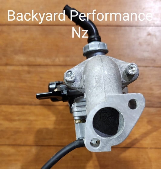 Pz19 Briggs Carb kit