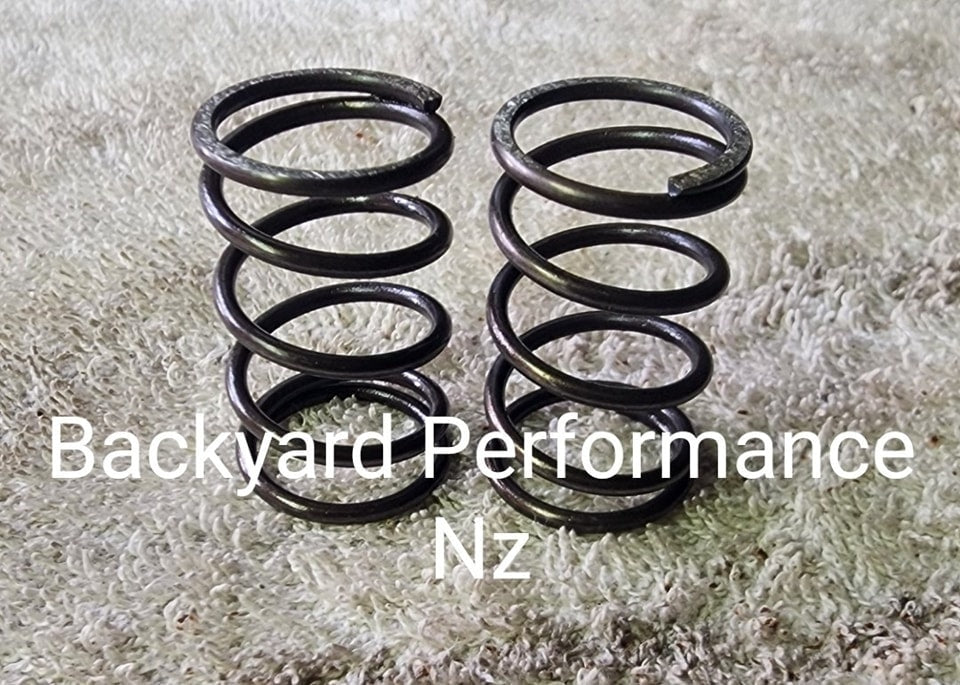 22lb Valve Springs