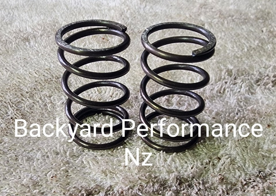 18lb Valve Springs