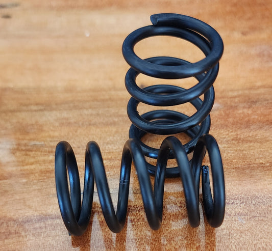 GX390/420 50Lb Valve springs