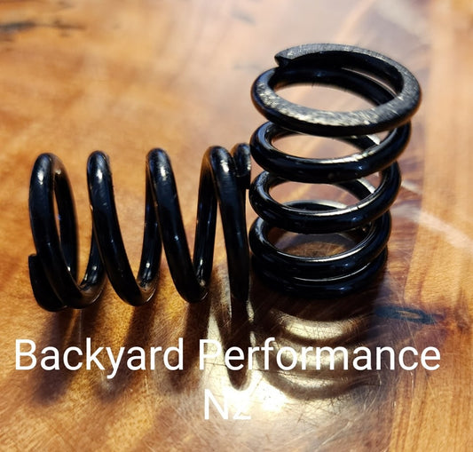26Lb Valve springs